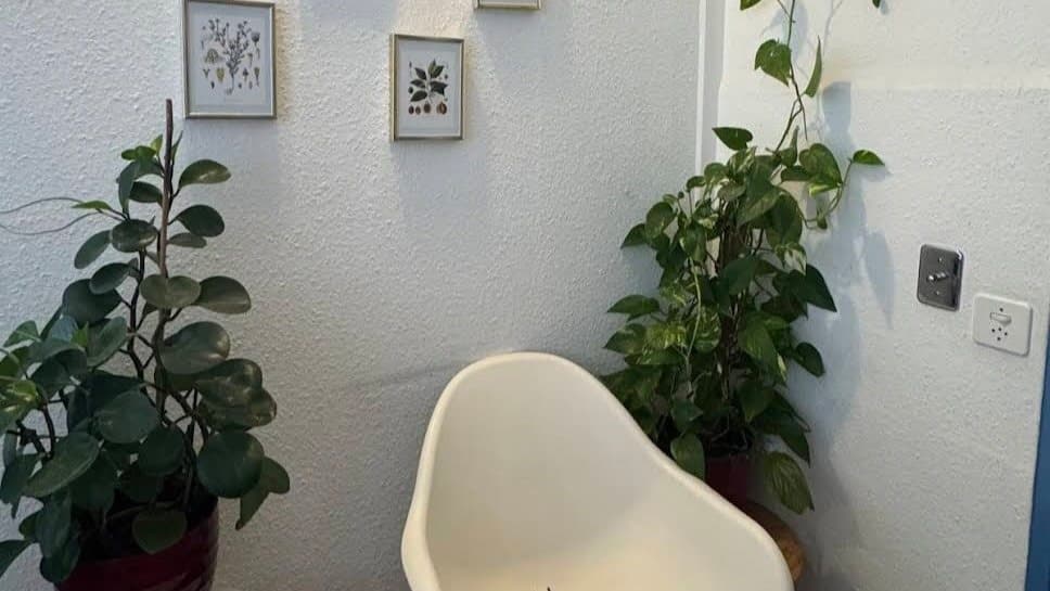 Un angle du cabinet PhysioGreen : une chaise claire entre deux plantes vertes, sous des planches botaniques encadrées